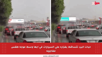 حبات البرد تتساقط بغزارة على السيارات في أبها وسط موجة طقس مفاجئة